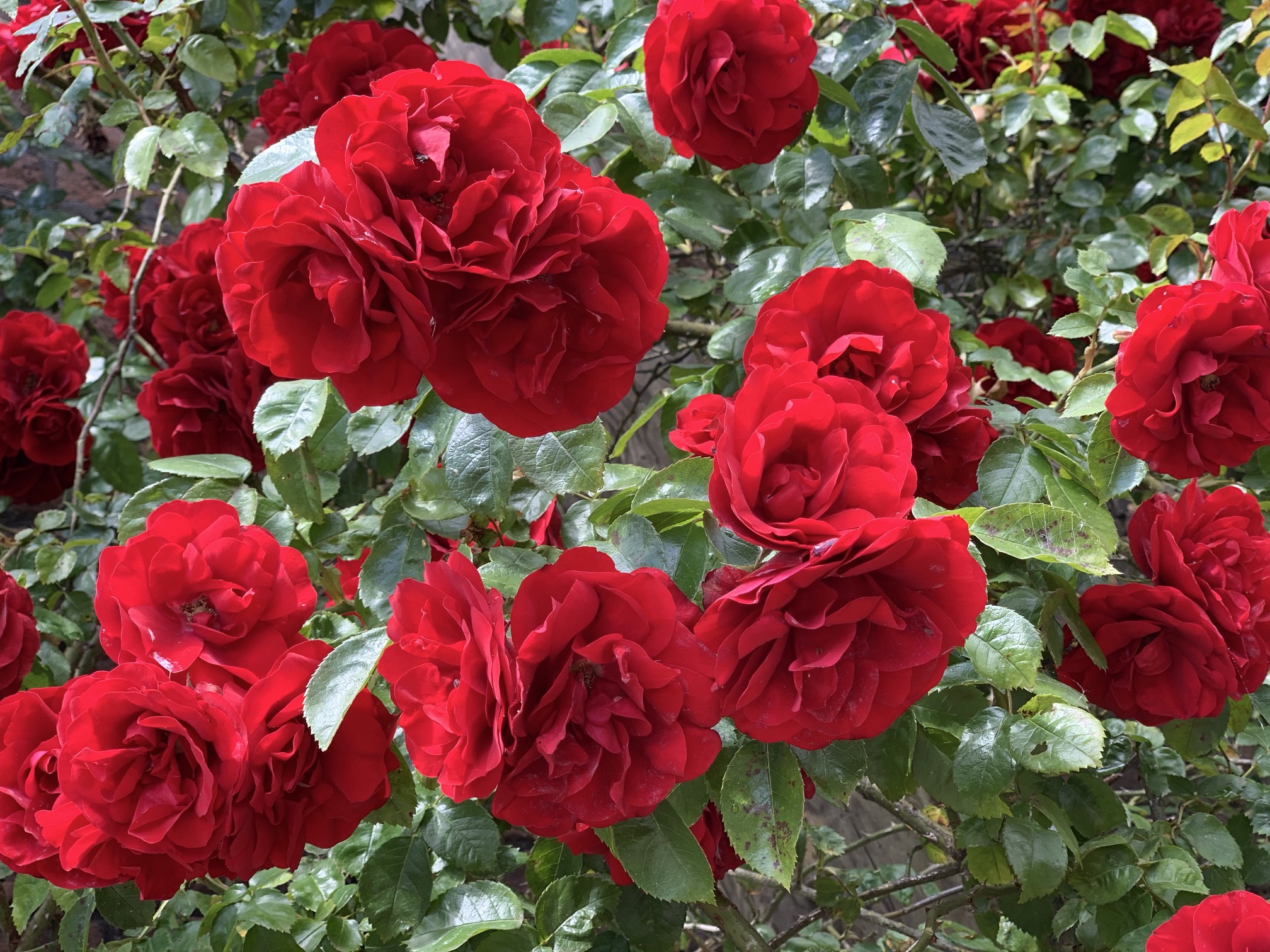 ONXyhYh8Q922Gihc8k%zDA