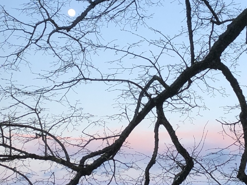 UNADJUSTEDNONRAW_thumb_59d2